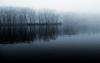 01076_foggymorning2_1920x1200_t1.jpg