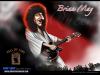 brianmay_1024x768_t1.jpg