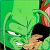 piccolo_1.jpg