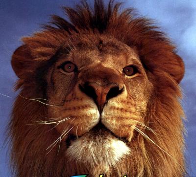 lions_0312_medres.jpg